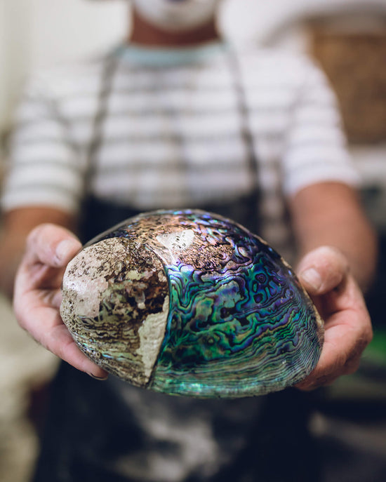 Polished Paua shells from Pacific Jewels - Southern Paua in Kaikoura, NZ