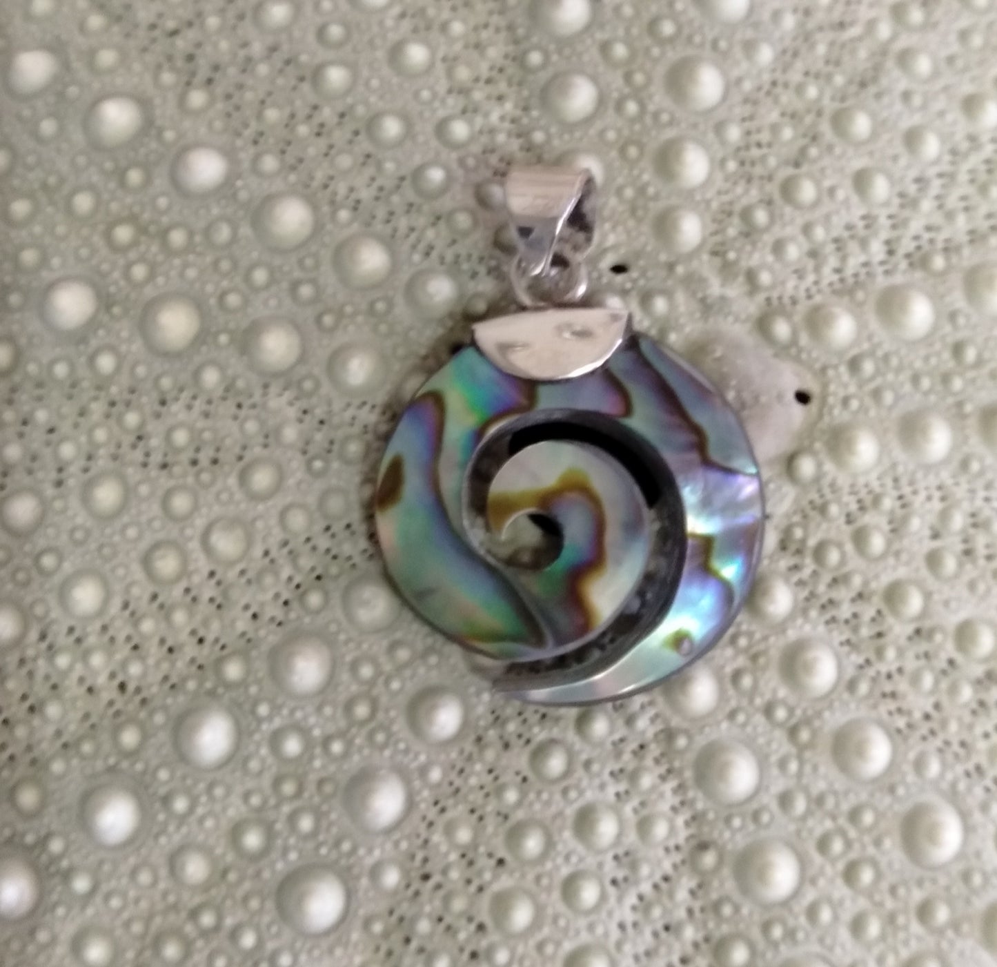 Paua 'Koru' Pendant 26mm from Pacific Jewel - Southern Paua New Zealand