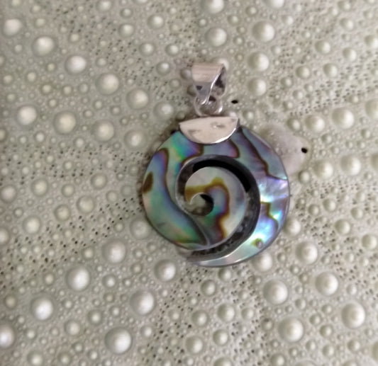 Paua 'Koru' Pendant 26mm from Pacific Jewel - Southern Paua New Zealand