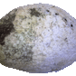 Paua Shell Grounding Service from Pacific Jewel - Southern Paua New Zealand