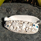 Wakahuia, Feather box, Treasure Box from Pacific Jewel - Southern Paua New Zealand