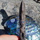 from Pacific Jewel - Southern Paua New Zealand
