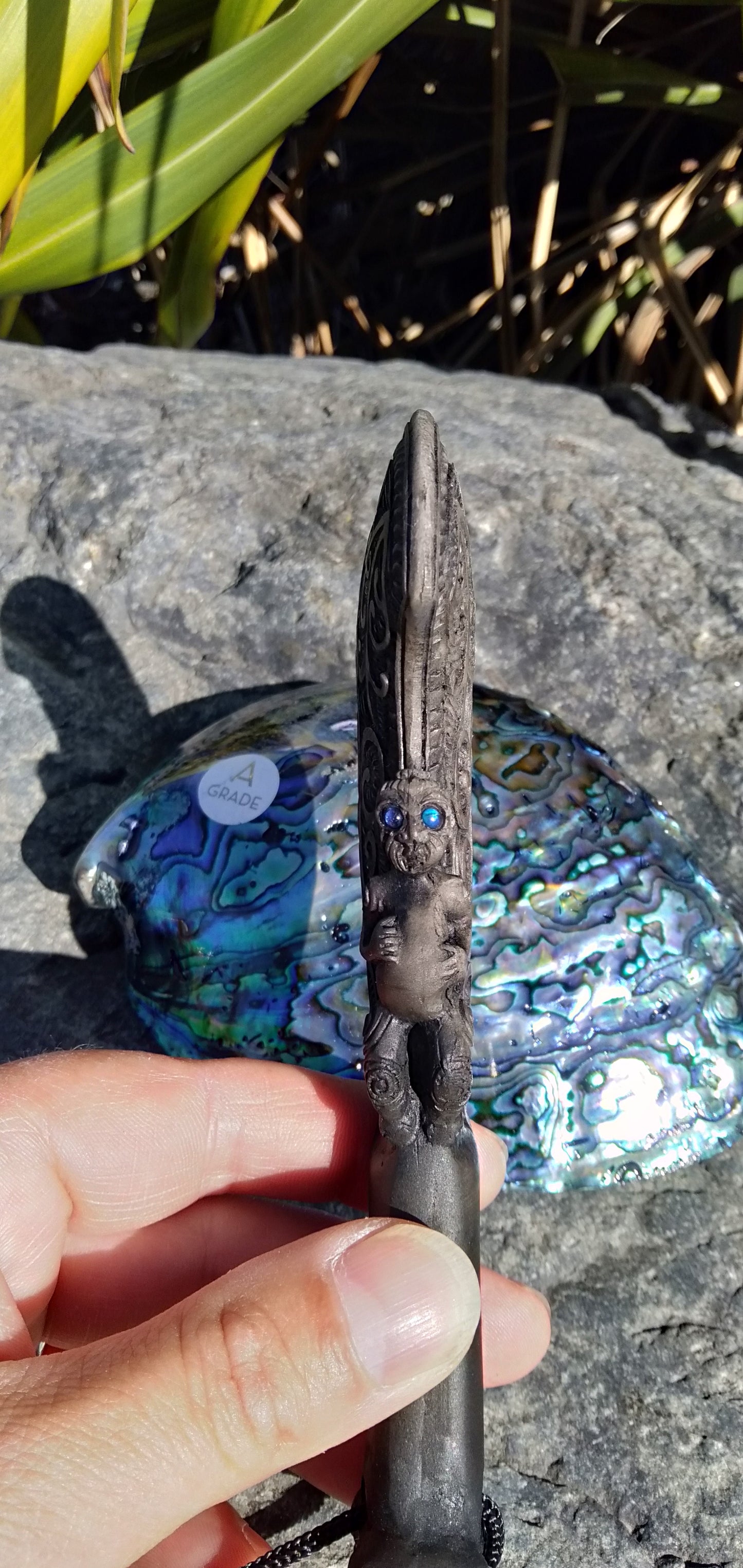 from Pacific Jewel - Southern Paua New Zealand