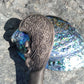 from Pacific Jewel - Southern Paua New Zealand