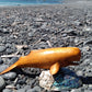Wooden Sperm Whale from Pacific Jewel - Southern Paua New Zealand