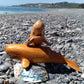 Wooden Sperm Whale from Pacific Jewel - Southern Paua New Zealand
