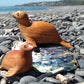 Wooden Seal Medium from Pacific Jewel - Southern Paua New Zealand
