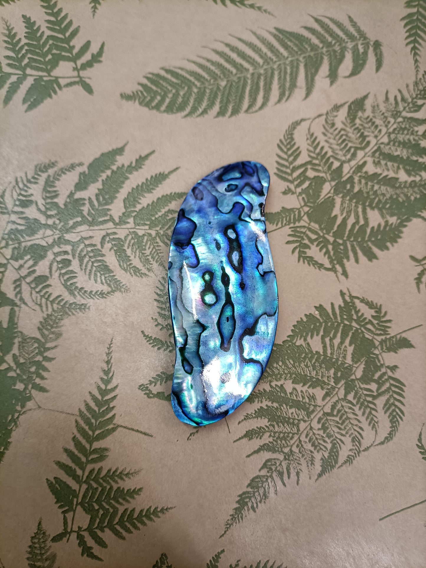 Small "S" Paua Hair Clip from Pacific Jewel - Southern Paua New Zealand