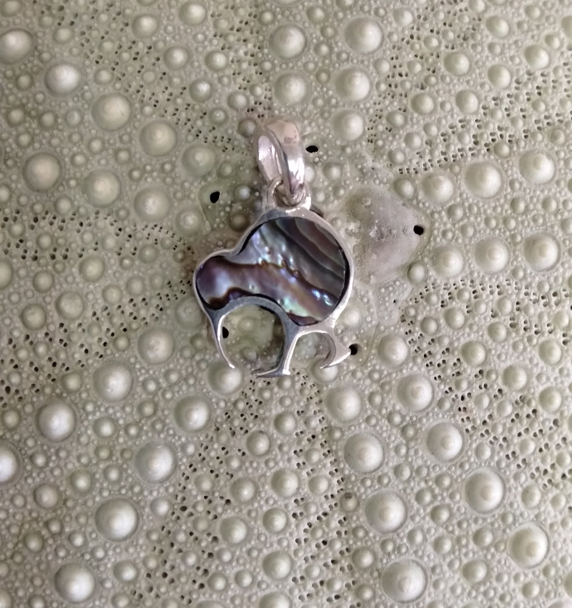Paua Kiwi Pendant from Pacific Jewel - Southern Paua New Zealand