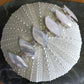 Sterling Silver Mother of Pearl Bracelet from Pacific Jewel - Southern Paua New Zealand