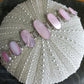 Sterling Silver Pink Shell Bracelet from Pacific Jewel - Southern Paua New Zealand